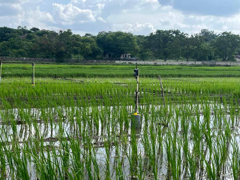 Harmonising Water and Earth: Harnessing Technology for Conservation and Sustainability