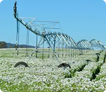 Autonomous Irrigation