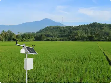 Automatic Weather Stations