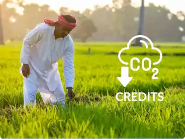 Carbon Credits