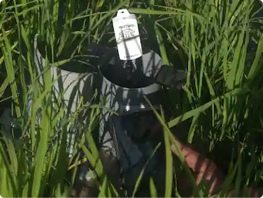 Harnessing Technology for Conservation and Sustainability